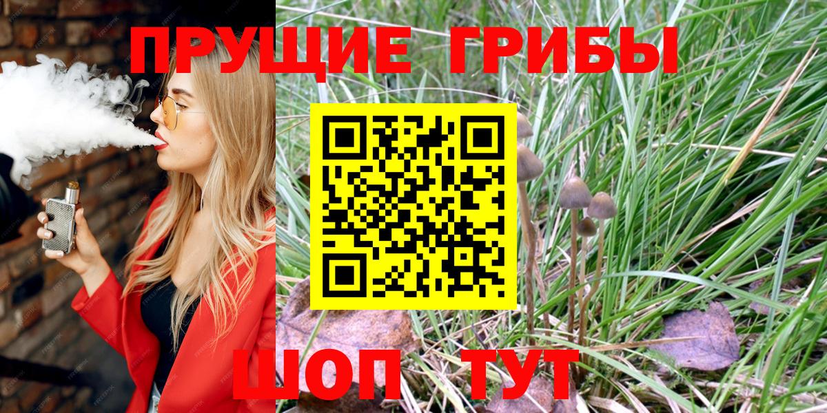 Галлюциногенные грибы ЛСД  дарнет шоп  Заводоуковск  Вход с VPN 